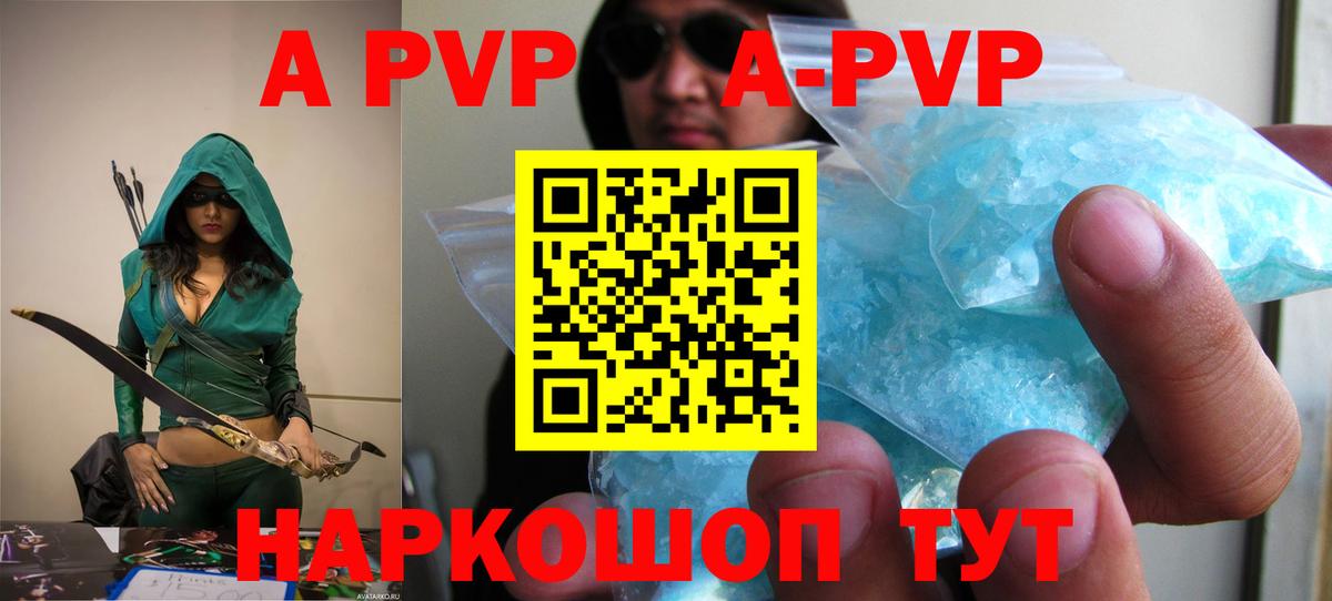 Alfa_PVP СК Аргун