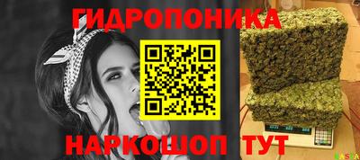 ALPHA PVP Ярославль