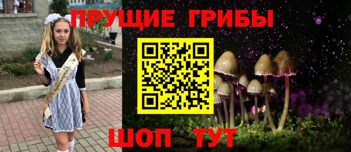 Псилоцибиновые грибы Psilocybe Аргун